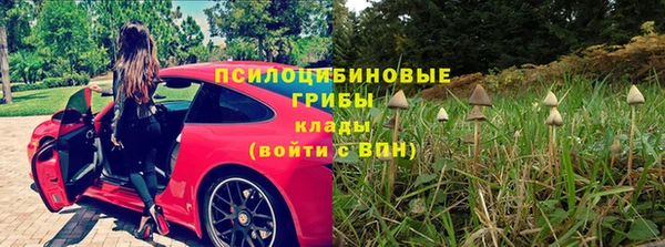 эйфоретик Алзамай