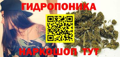 СК Тверь