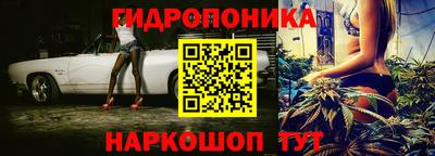 СК Тверь