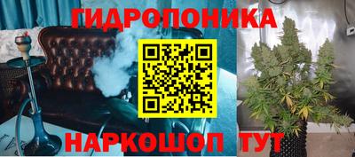 дурь Тара
