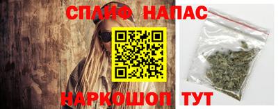 дурь Тара