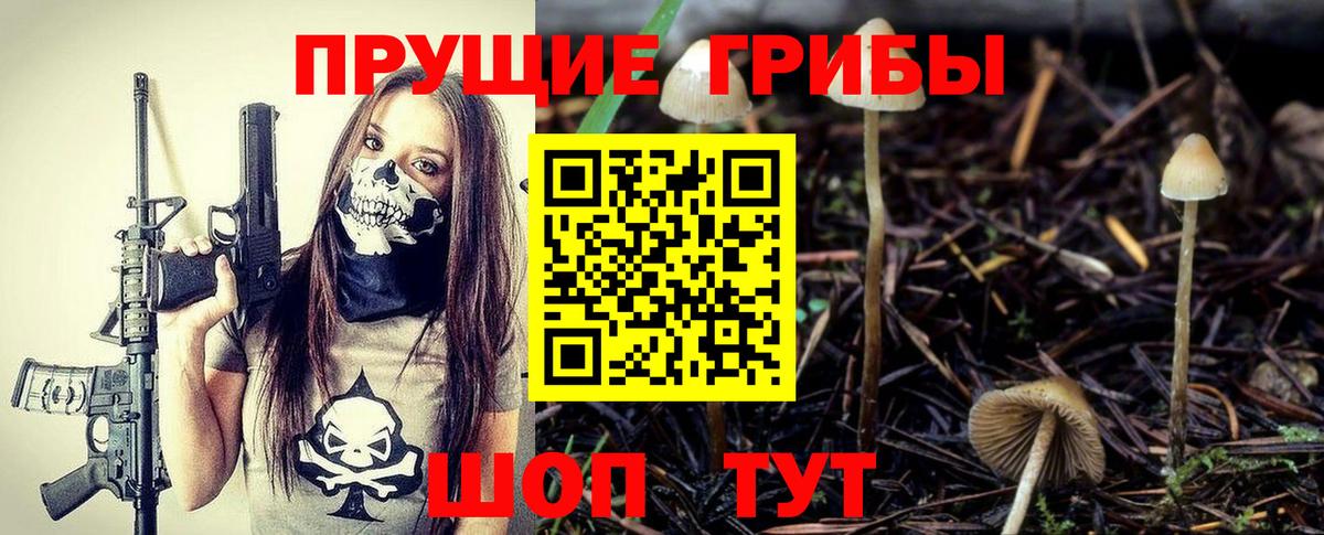 что такое   Галлюциногенные грибы Psilocybine cubensis  Вход с VPN  Череповец 